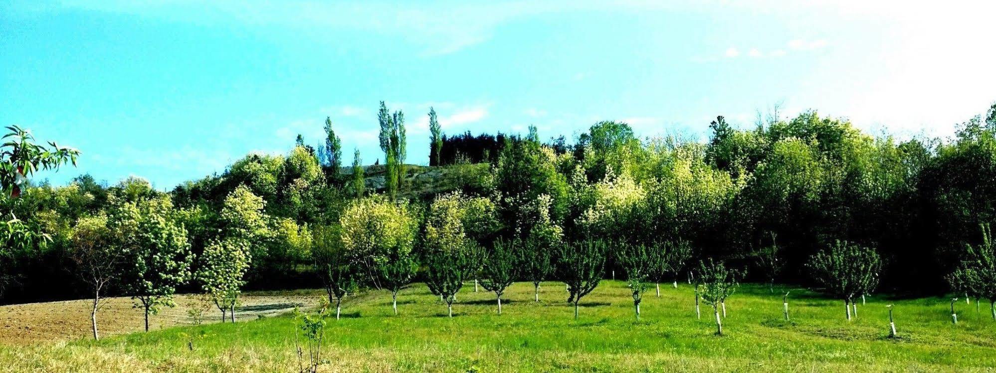 Montechiaro D'acqui Tenuta Valdorso - Agri Resort מראה חיצוני תמונה
